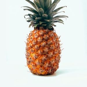 Meet your Posher, Ethan